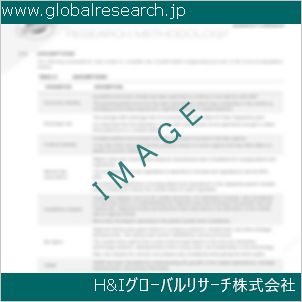 グローバルリサーチ調査資料のイメージ